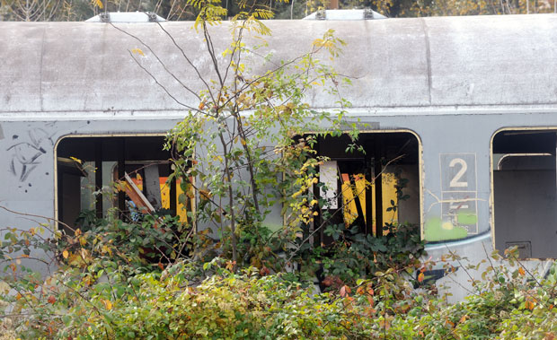 Притвор браћи због убиства проститутке!